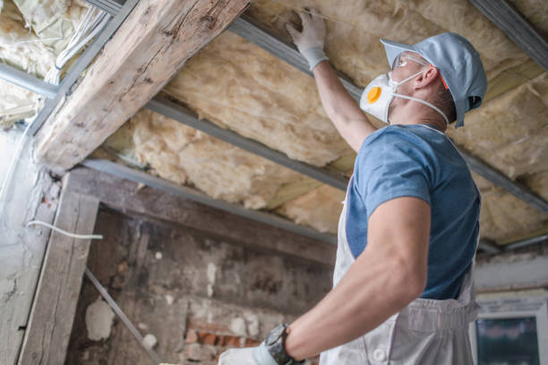Best Insulation Maintenance and Repair in Clintwood, VA
