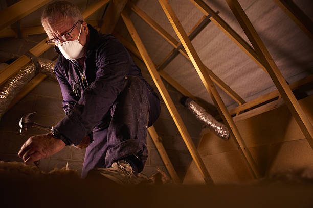 Best Insulation Installation Services in Clintwood, VA